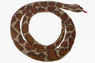 Obrázek z Had krajta tmavá plyš 300cm 